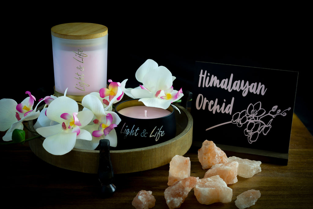 The Himalayan Orchid